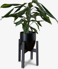 Beckenbau Plantenstandaard Binnen - Diameter Tot 24 Cm - Plantenkruk - Bloempotten Voor Binnen - Plantentafeltje Voor Binnen - Bloempot Standaard | Plantenstandaard - Hout - Mat Zwart