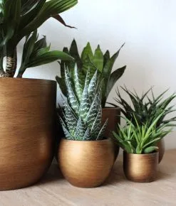 Capi Europe - Bloempot Bol Retro - 23x21 - Goud - Bloempot Voor Binnen - BRTG134 -Bloem Garden Verkoop 1023x1200