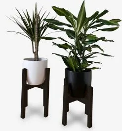 Beckenbau Plantenstandaard Binnen - Set Van 2 - Diameter Tot 24 Cm - Plantenkruk - Bloempotten Voor Binnen - Plantentafeltje Voor Binnen - Bloempot Standaard - Plantenstandaard - Hout - Mat Zwart/Donkergrijs