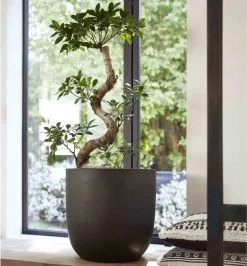 Capi Europe - Bloempot Bol Smooth NL - 35x34 - Zwart - Voor Binnen En Buiten - KBL932 -Bloem Garden Verkoop 1116x1200