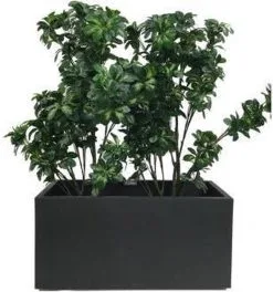 Elho Vivo Matt Finish Lang Wielen 90 - Grote Staande Plantenbak Voor Binnen & Buiten - Gemaakt Van Gereycled Plastic - L 39 X W 88 X H 41 Cm - Zwart 14 Elho Vivo Matt Finish Lang Wielen 90 - Grote Staande Plantenbak Voor Binnen & Buiten - Gemaakt Van Gereycled Plastic - L 39 X W 88 X H 41 Cm - Zwart -Bloem Garden Verkoop 1124x1200 2
