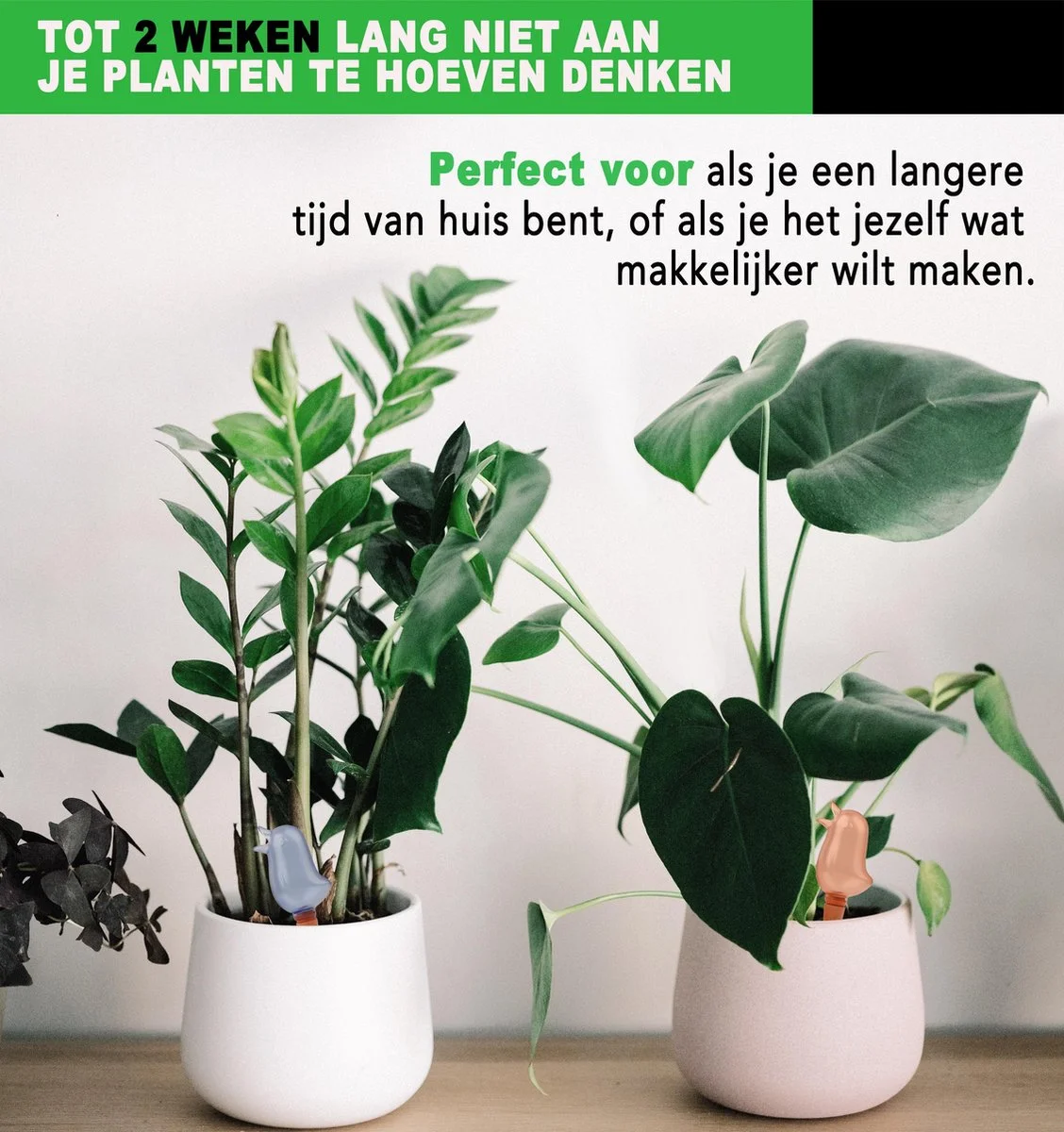 Devos Waterdruppelaar Voor Planten 2 Stuks - Waterbol Kamerplanten - Automatisch Watergeefsysteem - Vogel - Roze 2 Devos Waterdruppelaar Voor Planten 2 Stuks - Waterbol Kamerplanten - Automatisch Watergeefsysteem - Vogel - Roze - Afbeelding 2