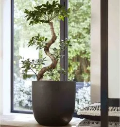 Capi Europe - Bloempot Bol Smooth NL - 43x41 - Zwart - Voor Binnen En Buiten - KBL933 19 Capi Europe - Bloempot Bol Smooth NL - 43x41 - Zwart - Voor Binnen En Buiten - KBL933 -Bloem Garden Verkoop 1132x1200 2