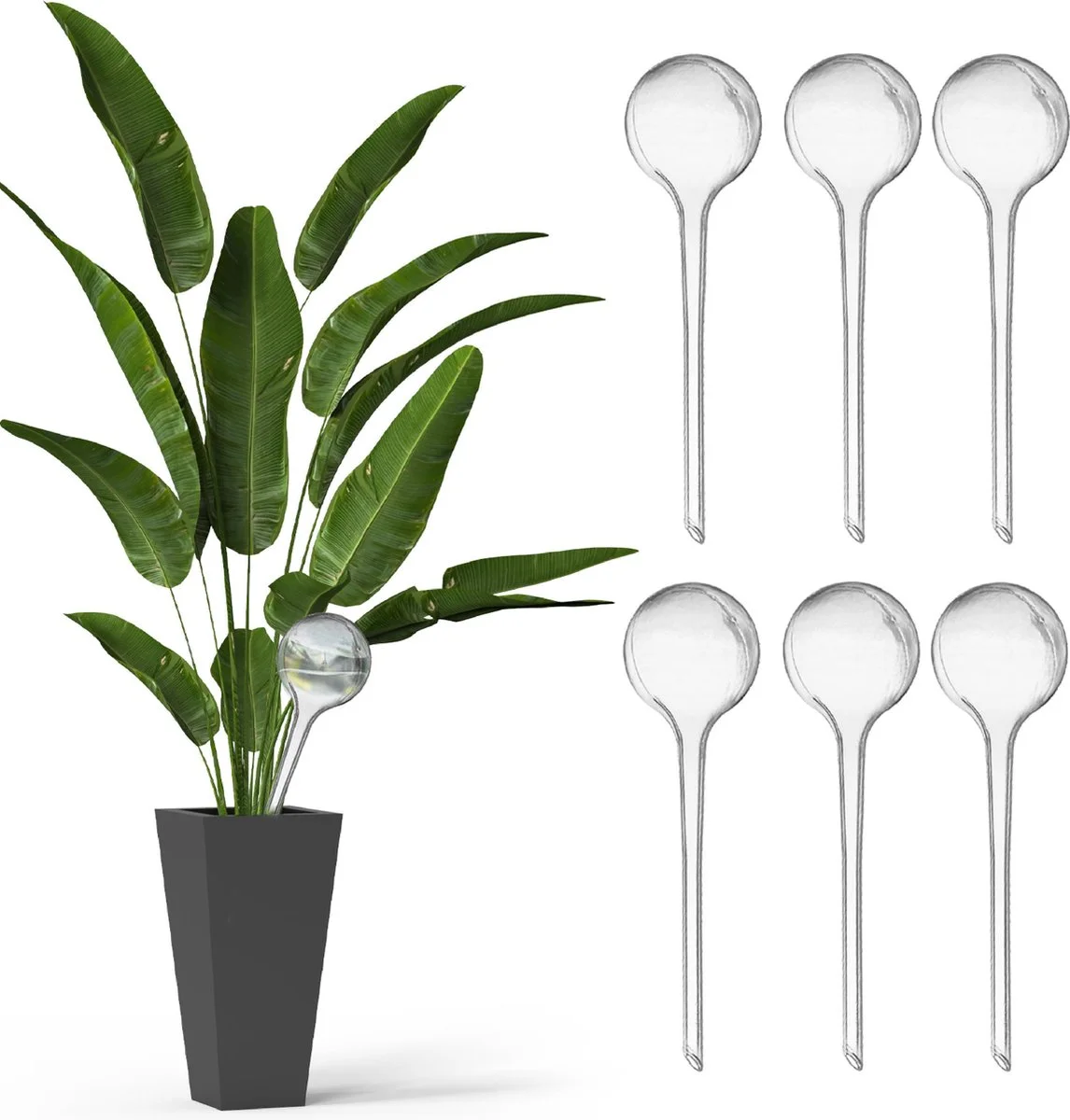 Ridem Waterdruppelaar Voor Planten - Irrigatiesysteem- Waterbol - Druppelsysteem - Watergeefsysteem Voor Kamerplanten - Plantenwatergever -6 Stuks - Transparant 1 Ridem Waterdruppelaar Voor Planten - Irrigatiesysteem- Waterbol - Druppelsysteem - Watergeefsysteem Voor Kamerplanten - Plantenwatergever -6 Stuks - Transparant