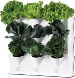 Minigarden® Minigarden Vertical Verticale Tuin - Wit 11 Minigarden® Minigarden Vertical Verticale Tuin - Wit -Bloem Garden Verkoop 1157x1200