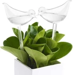 WiseGoods Luxe Planten Waterdruppelaar - Waterbol Vogel - Watergever - Watergeefsysteem Voor Planten & Bloemen - 200ML - Set Van 2 5 WiseGoods Luxe Planten Waterdruppelaar - Waterbol Vogel - Watergever - Watergeefsysteem Voor Planten & Bloemen - 200ML - Set Van 2 -Bloem Garden Verkoop 1160x1200 4