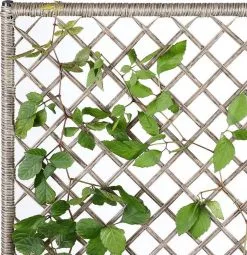 Casaria Polyrattan Bloembak – 3 Bakken Klimophek - Crème -Bloem Garden Verkoop 1163x1200