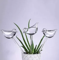 Citris Waterdruppelaar Planten - Vorm Vogel - Set Van 3 Kunststof Druppelaars - 25cm Lengte - Genoeg Water Tijdens Je Vakantie