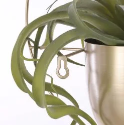 Mica Decorations Dexter Bloempot Wand - L34 X B14 X H34 Cm - Goud 8 Mica Decorations Dexter Bloempot Wand - L34 X B14 X H34 Cm - Goud -Bloem Garden Verkoop 1189x1200 2