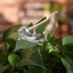 Citris Waterdruppelaar Planten - Vorm Vogel - Set Van 3 Kunststof Druppelaars - 25cm Lengte - Genoeg Water Tijdens Je Vakantie 5 Citris Waterdruppelaar Planten - Vorm Vogel - Set Van 3 Kunststof Druppelaars - 25cm Lengte - Genoeg Water Tijdens Je Vakantie -Bloem Garden Verkoop 1190x1200 3