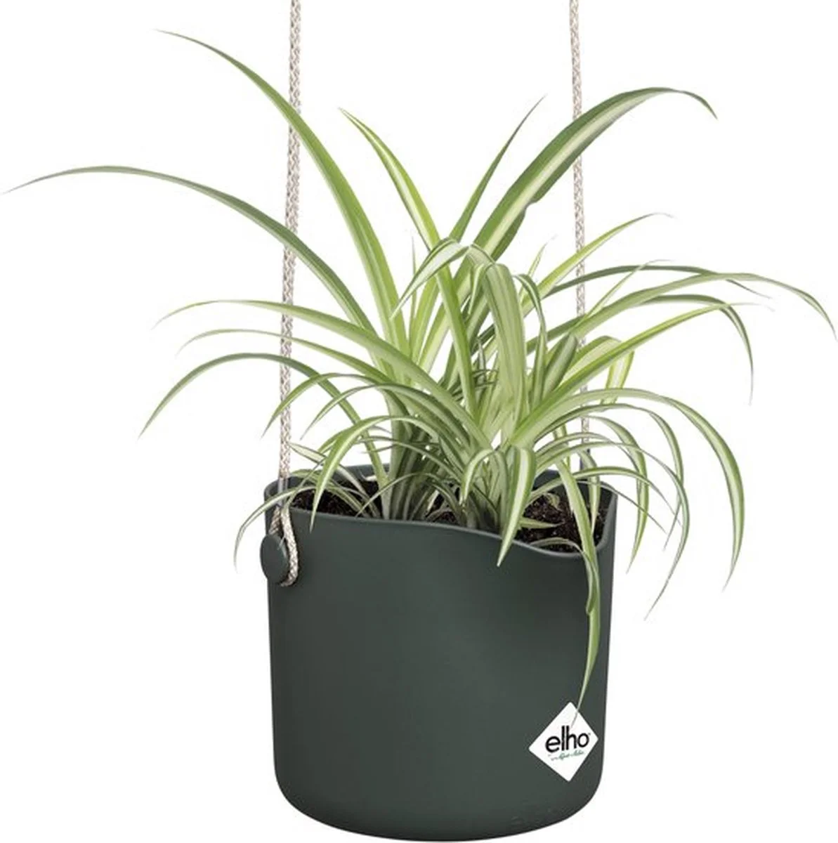Elho B.for Swing 18 Hangpot - Bloempot Voor Binnen - Ø 18.0 X H 16.5 Cm - Groen/Blad Groen 5 Elho B.for Swing 18 Hangpot - Bloempot Voor Binnen - Ø 18.0 X H 16.5 Cm - Groen/Blad Groen - Afbeelding 5