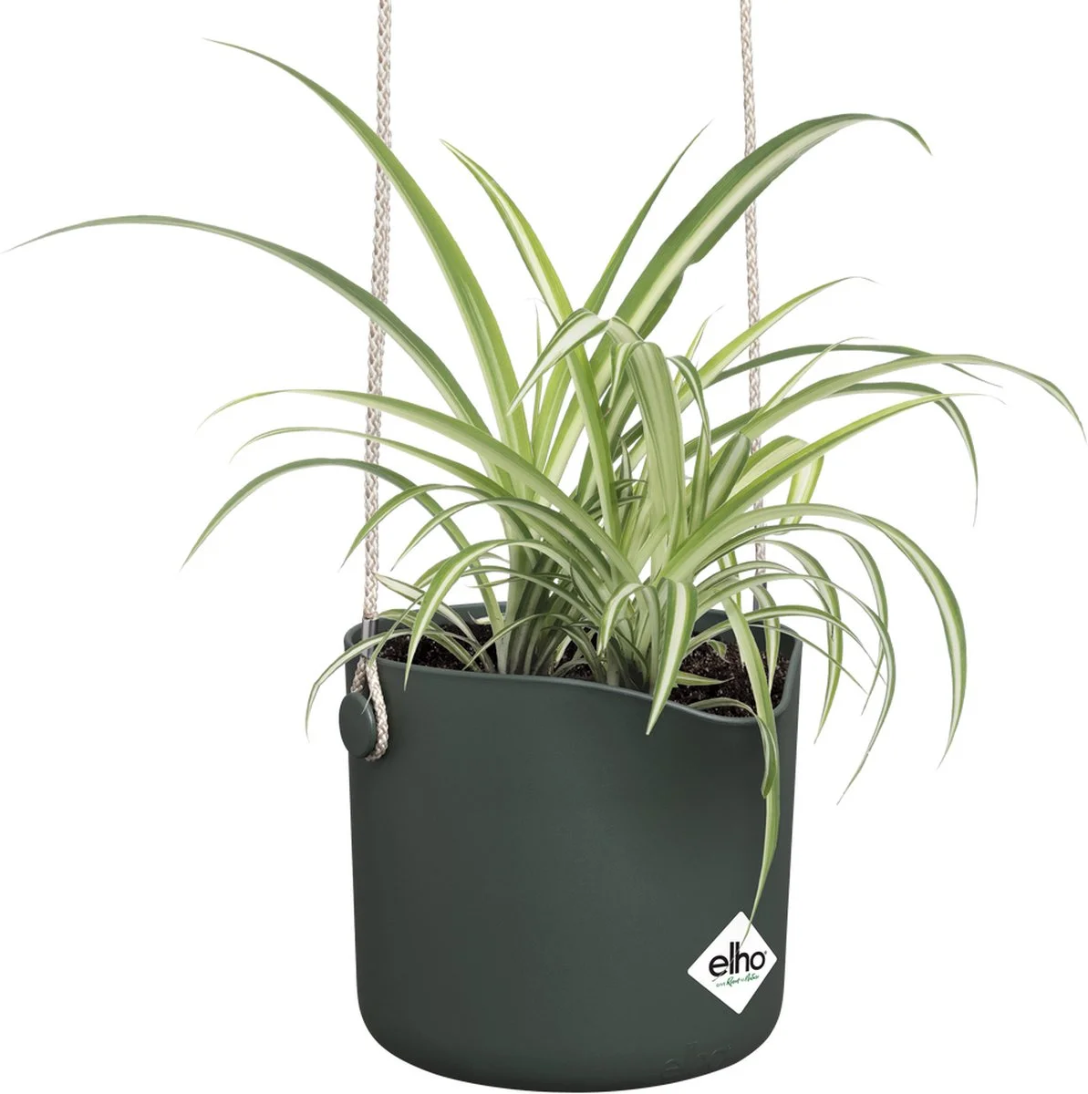 Elho B.for Swing 18 Hangpot - Bloempot Voor Binnen - Ø 18.0 X H 16.5 Cm - Groen/Blad Groen 3 Elho B.for Swing 18 Hangpot - Bloempot Voor Binnen - Ø 18.0 X H 16.5 Cm - Groen/Blad Groen - Afbeelding 3