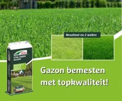 DCM Vital-Green Gazon - Gazonmest - Gazonmeststof Met MINIGRAN® Technology - 75m2 - 3 Kg -Bloem Garden Verkoop 1200x1000 6