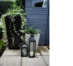 Prestige Manhattan 100L Regenton Zwart (incl. Kraantje) -Bloem Garden Verkoop 1200x1083 2