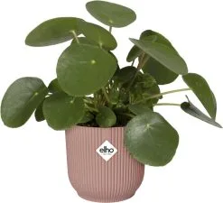 Elho Vibes Fold Rond Wielen 35 - Bloempot Voor Binnen - Ø 34.9 X H 32.4 Cm - Delicaat Roze -Bloem Garden Verkoop 1200x1093 1