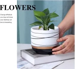 Spieringstore® Bloempotten Binnen - Keramiek - Gouden Rand - Bloempot Buiten - Afvoergat 24 Cm - Wit Zwart – Groot 11 Spieringstore® Bloempotten Binnen - Keramiek - Gouden Rand - Bloempot Buiten - Afvoergat 24 Cm - Wit Zwart – Groot -Bloem Garden Verkoop 1200x1118 1