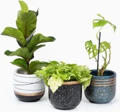 Spieringstore® Bloempotten Binnen - Keramiek - Gouden Rand - Bloempot Buiten - Afvoergat 24 - Small Set Van 3 - 15 Cm