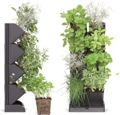 Prosperplast Verticale Kruidentuin Kunststof - Staand/hangend - Modulair - Antraciet Grijs - L 20 X B 11 X H 48 Cm - Incl. Kruidenschaar 13 Prosperplast Verticale Kruidentuin Kunststof - Staand/hangend - Modulair - Antraciet Grijs - L 20 X B 11 X H 48 Cm - Incl. Kruidenschaar -Bloem Garden Verkoop 1200x1146