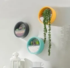 Simple Solutions Ronde Muur Plantenbak Zwart - Decoratie - Planten - Interieur - Bloemen - Woondecoratie - Muurbekleding - 10 Simple Solutions Ronde Muur Plantenbak Zwart - Decoratie - Planten - Interieur - Bloemen - Woondecoratie - Muurbekleding - -Bloem Garden Verkoop 1200x1167