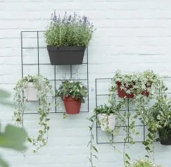 Elho Loft Urban Green Wall Rek 48 - Accessoires Voor Buiten - Ø 47.3 X H 59.0 Cm - Zwart/Living Black -Bloem Garden Verkoop 1200x1173