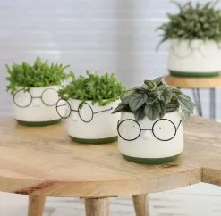 Comforder 2x Bloempot Met Gezicht - Ø8 X H6,5 Cm - Bloempotten Voor Binnen Met Bril/Face/Hoofd 9 Comforder 2x Bloempot Met Gezicht - Ø8 X H6,5 Cm - Bloempotten Voor Binnen Met Bril/Face/Hoofd -Bloem Garden Verkoop 1200x1178