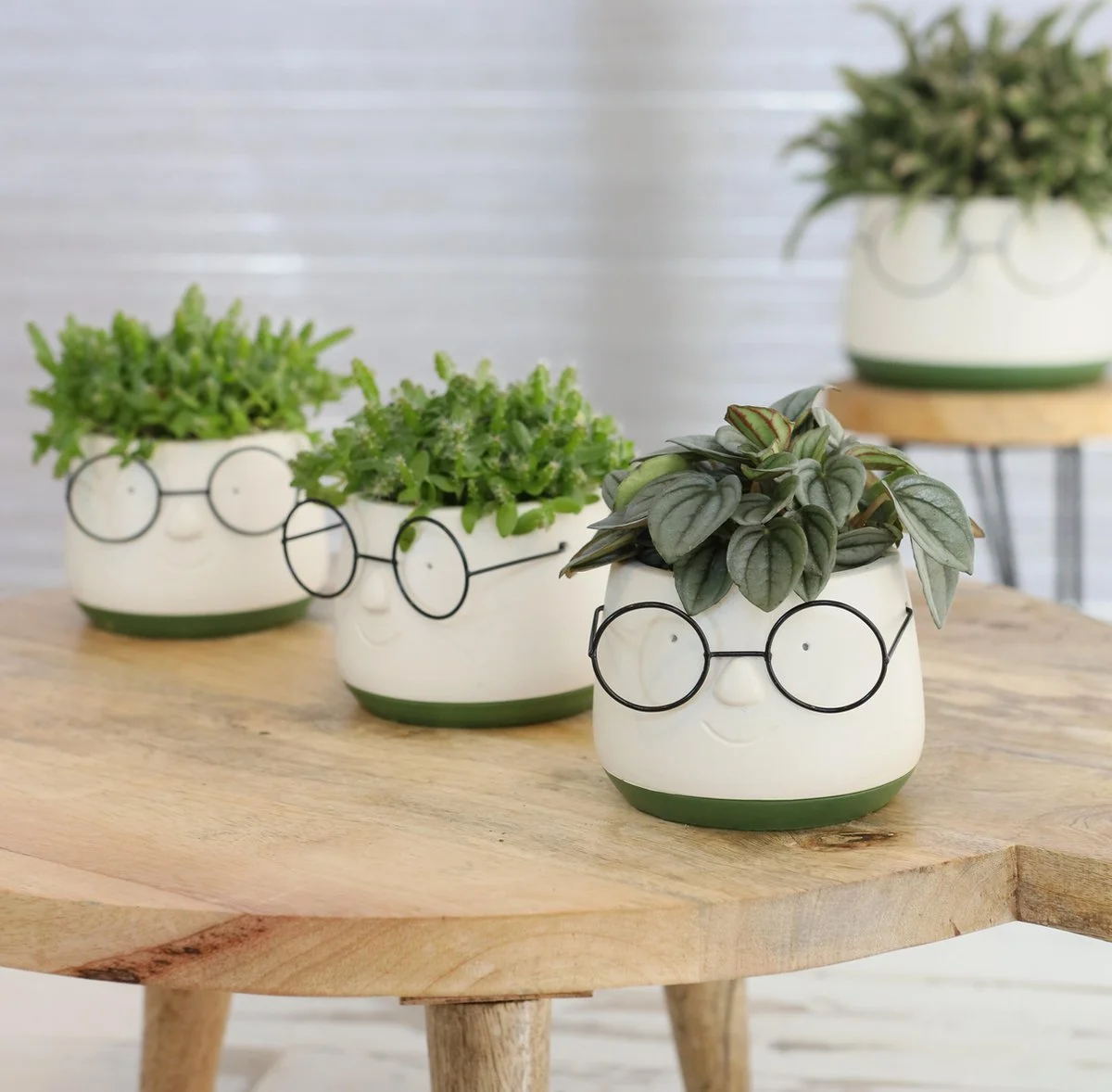 Comforder 2x Bloempot Met Gezicht - Ø8 X H6,5 Cm - Bloempotten Voor Binnen Met Bril/Face/Hoofd 3 Comforder 2x Bloempot Met Gezicht - Ø8 X H6,5 Cm - Bloempotten Voor Binnen Met Bril/Face/Hoofd - Afbeelding 3