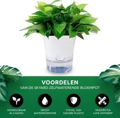 SKYARD® 3 Stuks Zelfwaterende Bloempot Maat M – Milieuvriendelijk Watergeefsysteem Kamerplanten – Zelfwatergevende Pot – Bloempot Met Waterreservoir – Selfwatering Pot – Wit 18 SKYARD® 3 Stuks Zelfwaterende Bloempot Maat M – Milieuvriendelijk Watergeefsysteem Kamerplanten – Zelfwatergevende Pot – Bloempot Met Waterreservoir – Selfwatering Pot – Wit -Bloem Garden Verkoop 1200x1183