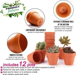 Garden Mania - 12 Mini Terracotta Keramische Klei Bloempotten Met Afvoergat, 8cm -Bloem Garden Verkoop 1200x1189