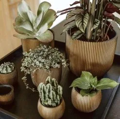 Capi Europe - Bloempot Bol Groove XL - 33x35 - Goud - Bloempot Voor Binnen - Opening ⌀28 - GVGB932 -Bloem Garden Verkoop 1200x1191 5