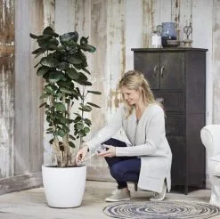 Elho Aqua Care 9 - Accessoires Voor Binnenaccessoires - Ø 17.3 X H 32.0 Cm - Transparant/Transparant -Bloem Garden Verkoop 1200x1193 2