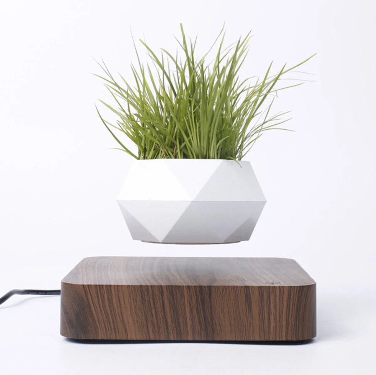 Floatey Design Plant | Zwevende Plant - Bloempot (levitation) 4 Floatey Design Plant | Zwevende Plant - Bloempot (levitation) - Afbeelding 4