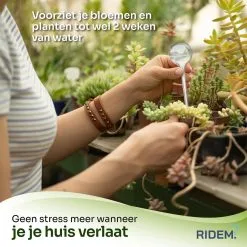 Ridem Waterdruppelaar Voor Planten - Irrigatiesysteem- Waterbol - Druppelsysteem - Watergeefsysteem Voor Kamerplanten - Plantenwatergever -6 Stuks - Transparant 10 Ridem Waterdruppelaar Voor Planten - Irrigatiesysteem- Waterbol - Druppelsysteem - Watergeefsysteem Voor Kamerplanten - Plantenwatergever -6 Stuks - Transparant -Bloem Garden Verkoop 1200x1198 25
