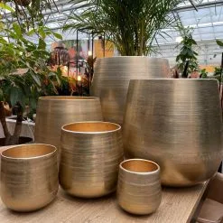 Merkloos Karakter Pot Alu Neo Gold ø40x40cm -Bloem Garden Verkoop 1200x1198 5