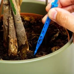 BUBBLEGUM STUFF Woonaccessoires- Automatisch Watergeef Systeem | Plantenwaterer - Life Support Irrigatieapparaat | Druppelaar Kamerplanten - | Planten Watergever Met Druppelsysteem 350ml -Bloem Garden Verkoop 1200x1200 1038