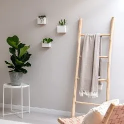 KAZAI. Wandvazen -Alma | Moderne Hangende Bloempotten Voor Aan De Muur | 3-delige Bloempot Set Van Hoogwaardig Hars Voor Kamerplanten, Kunstplanten, Bloemen Enz. | Wit 5 KAZAI. Wandvazen -Alma | Moderne Hangende Bloempotten Voor Aan De Muur | 3-delige Bloempot Set Van Hoogwaardig Hars Voor Kamerplanten, Kunstplanten, Bloemen Enz. | Wit -Bloem Garden Verkoop 1200x1200 106