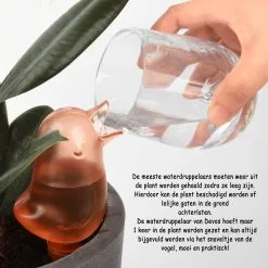 Devos Waterdruppelaar Voor Planten 2 Stuks - Waterbol Kamerplanten - Automatisch Watergeefsysteem - Vogel - Roze 8 Devos Waterdruppelaar Voor Planten 2 Stuks - Waterbol Kamerplanten - Automatisch Watergeefsysteem - Vogel - Roze -Bloem Garden Verkoop 1200x1200 1085