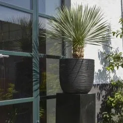 Capi Europe - Bloempot Bol Rib NL - 35x34 - Zwart - Voor Binnen En Buiten - KBLR932 -Bloem Garden Verkoop 1200x1200 119