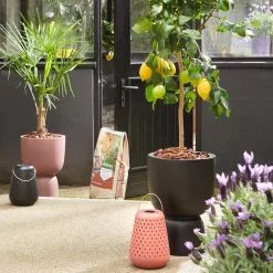 Elho Pure Coupe 35 - Bloempot Voor Binnen & Buiten - Ø 34.9 X H 49.0 Cm - Zwart/Zwart -Bloem Garden Verkoop 1200x1200 122