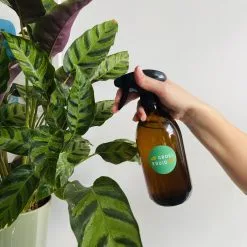 Groeikruid® Plantenspuit | 500 Ml Amber Glas | Met Zwarte Spraykop | Plantensproeier Binnen | Waterverstuiver | Verstuiver | Waterspuit -Bloem Garden Verkoop 1200x1200 1233