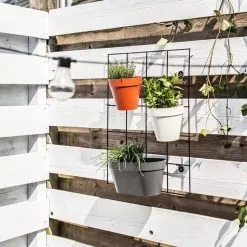 Elho Loft Urban Green Wall Rek 48 - Accessoires Voor Buiten - Ø 47.3 X H 59.0 Cm - Zwart/Living Black -Bloem Garden Verkoop 1200x1200 135