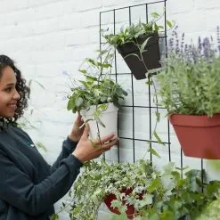 Elho Loft Urban Green Wall Rek 48 - Accessoires Voor Buiten - Ø 47.3 X H 59.0 Cm - Zwart/Living Black -Bloem Garden Verkoop 1200x1200 136