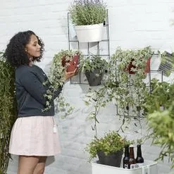 Elho Loft Urban Green Wall Rek 48 - Accessoires Voor Buiten - Ø 47.3 X H 59.0 Cm - Zwart/Living Black -Bloem Garden Verkoop 1200x1200 137