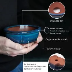 Happy Seed Keramieken Bonsai Pot (schaal) - Marine Blauw - Geglazuurd -Bloem Garden Verkoop 1200x1200 140