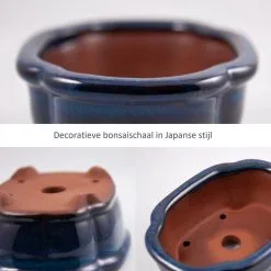 Happy Seed Keramieken Bonsai Pot (schaal) - Marine Blauw - Geglazuurd -Bloem Garden Verkoop 1200x1200 141