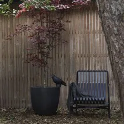 Capi Europe - Bloempot Bol Smooth NL - 43x41 - Zwart - Voor Binnen En Buiten - KBL933 17 Capi Europe - Bloempot Bol Smooth NL - 43x41 - Zwart - Voor Binnen En Buiten - KBL933 -Bloem Garden Verkoop 1200x1200 162