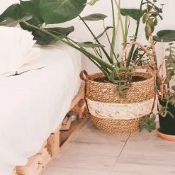 Merkloos Plantenmand 30x22cm Naturel Bruin – Multifunctionele Mand – Handgemaakt – Planten-houder – Planten Accessoires – Planten Mand -Bloem Garden Verkoop 1200x1200 201