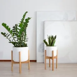 LifeGoods Planten Standaard - Uitschuifbare Bloempothouder - 20 Tot 30 Cm - Licht Bamboe 12 LifeGoods Planten Standaard - Uitschuifbare Bloempothouder - 20 Tot 30 Cm - Licht Bamboe -Bloem Garden Verkoop 1200x1200 222