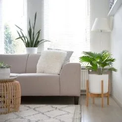 LifeGoods Planten Standaard - Uitschuifbare Bloempothouder - 20 Tot 30 Cm - Licht Bamboe 13 LifeGoods Planten Standaard - Uitschuifbare Bloempothouder - 20 Tot 30 Cm - Licht Bamboe -Bloem Garden Verkoop 1200x1200 223