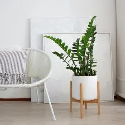 LifeGoods Planten Standaard - Uitschuifbare Bloempothouder - 20 Tot 30 Cm - Licht Bamboe 14 LifeGoods Planten Standaard - Uitschuifbare Bloempothouder - 20 Tot 30 Cm - Licht Bamboe -Bloem Garden Verkoop 1200x1200 224