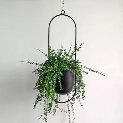 Be Inspired Be-Inspired® Hangende Bloempot Ovaal - Bloempot Binnen - Voor Hangplant – Plant Bloem Pot Met Opknoping – Plantenhanger - Plantenbak - Industrieel – Scandinavisch - Metaal - Zwart 9 Be Inspired Be-Inspired® Hangende Bloempot Ovaal - Bloempot Binnen - Voor Hangplant – Plant Bloem Pot Met Opknoping – Plantenhanger - Plantenbak - Industrieel – Scandinavisch - Metaal - Zwart -Bloem Garden Verkoop 1200x1200 227